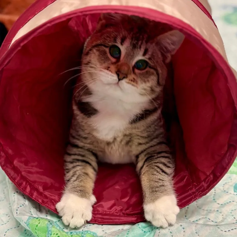 Jackey Luna thumbnail 5