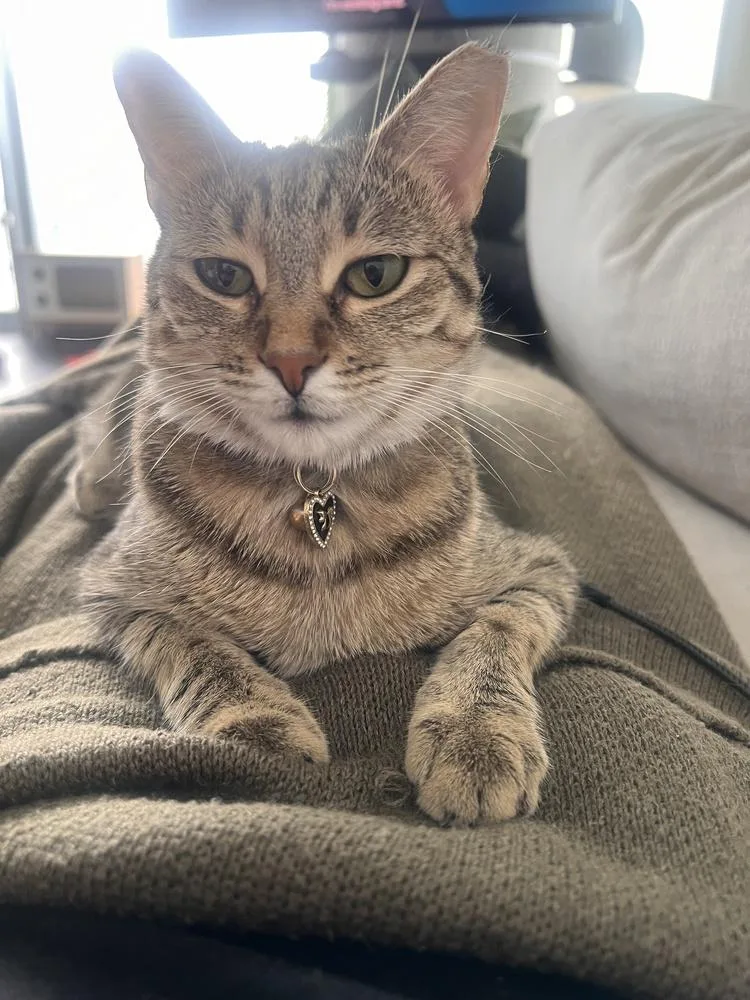 Tiny Hermione thumbnail 2