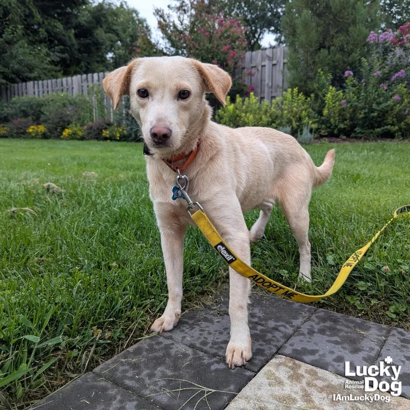 Spunky