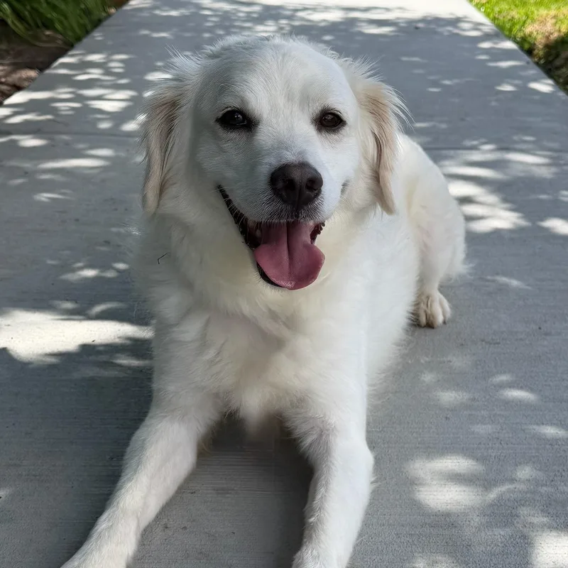 Charlie