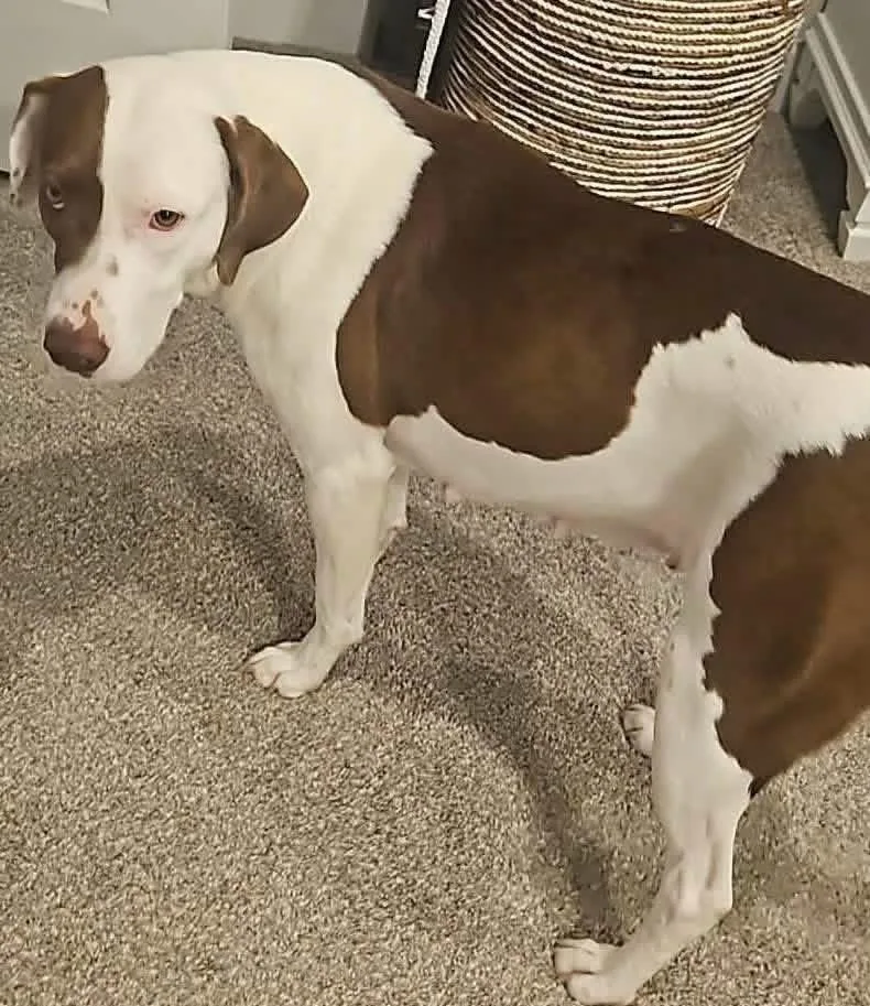 Maggie thumbnail 2