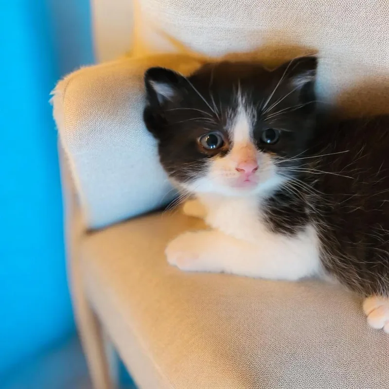 Floyd thumbnail 2