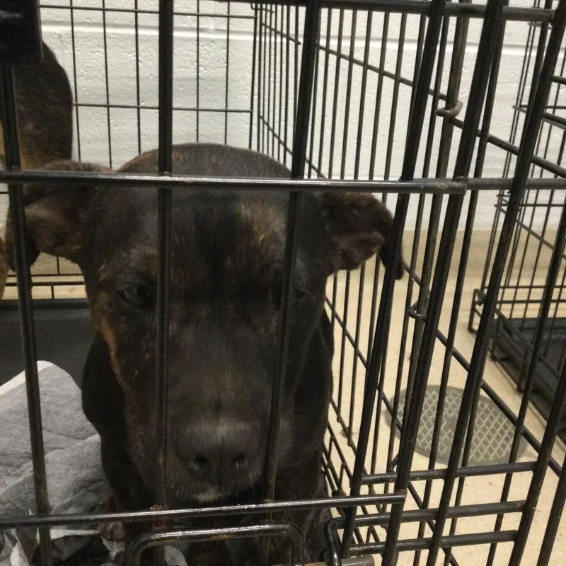 Stevie Nicks thumbnail 2