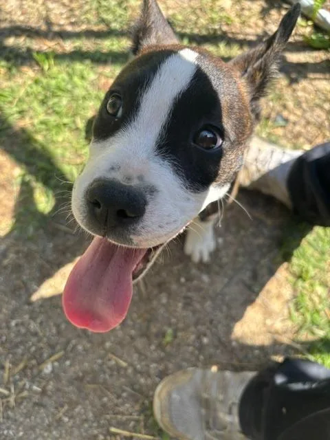 Mia