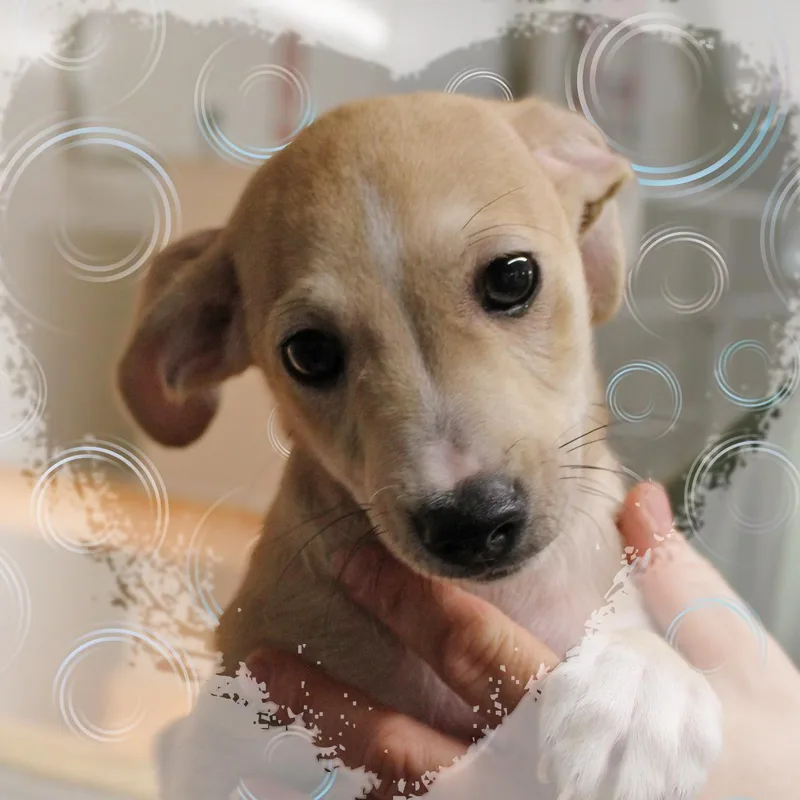 LeRoy thumbnail 2