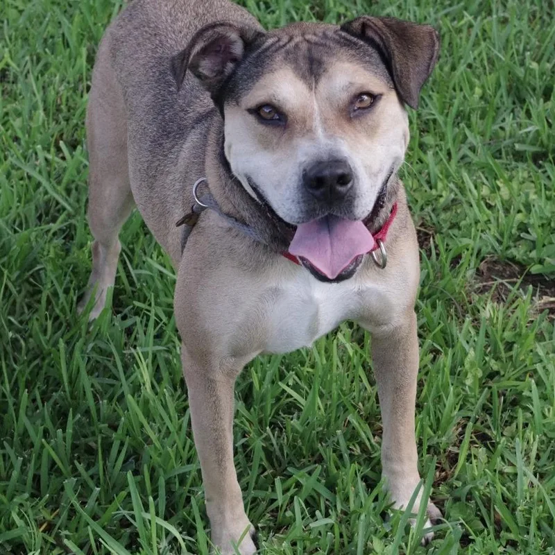 Fernando thumbnail 3