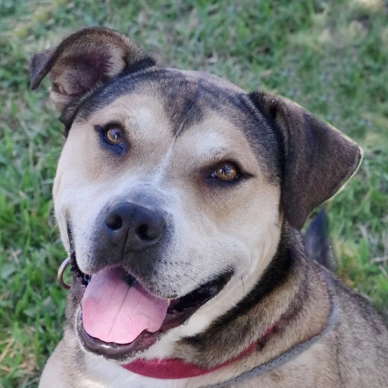 Fernando thumbnail 5