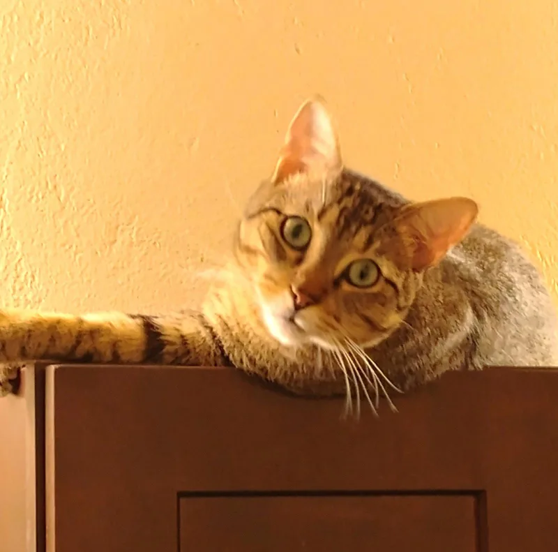 Milo loveydovey thumbnail 2
