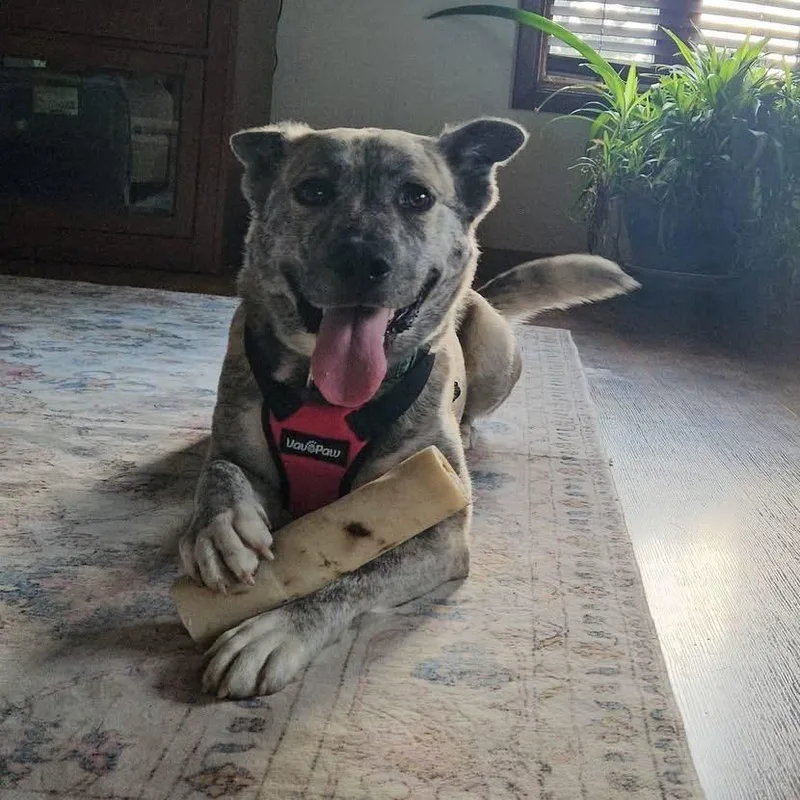 Luna