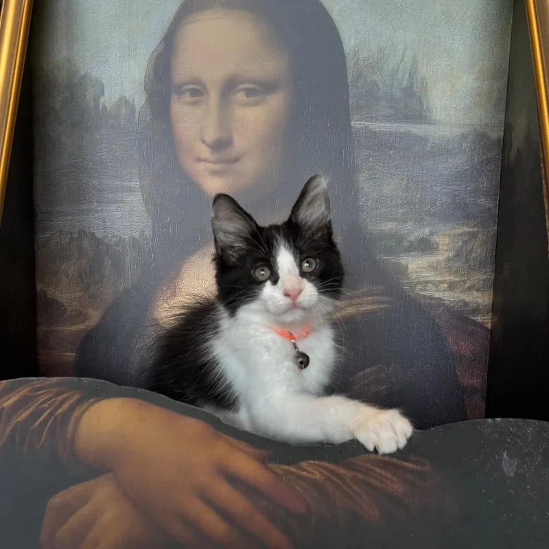 Vincent VanGogh thumbnail 2