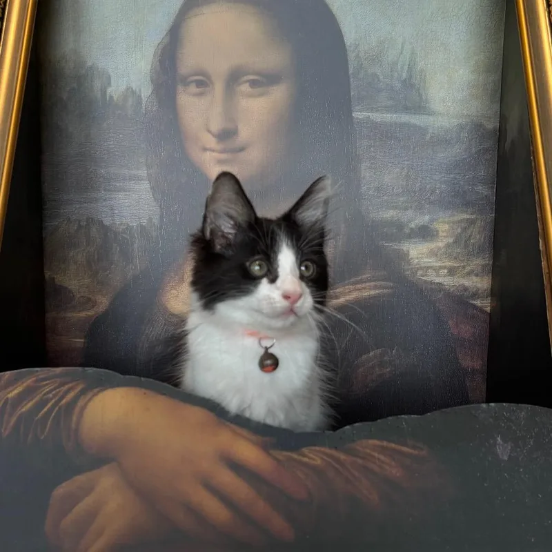 Vincent VanGogh thumbnail 3