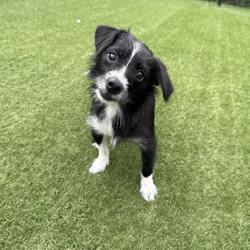 Monrow thumbnail 3