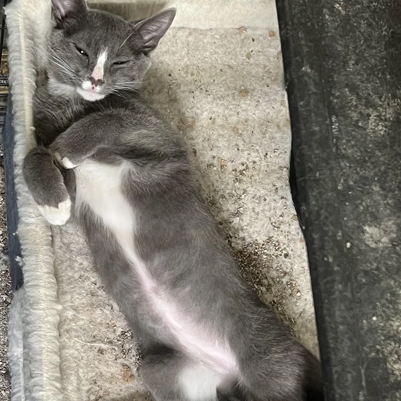 Sweet Boy U thumbnail 2