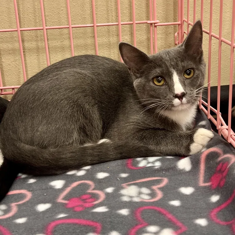 Sweet Boy U thumbnail 4