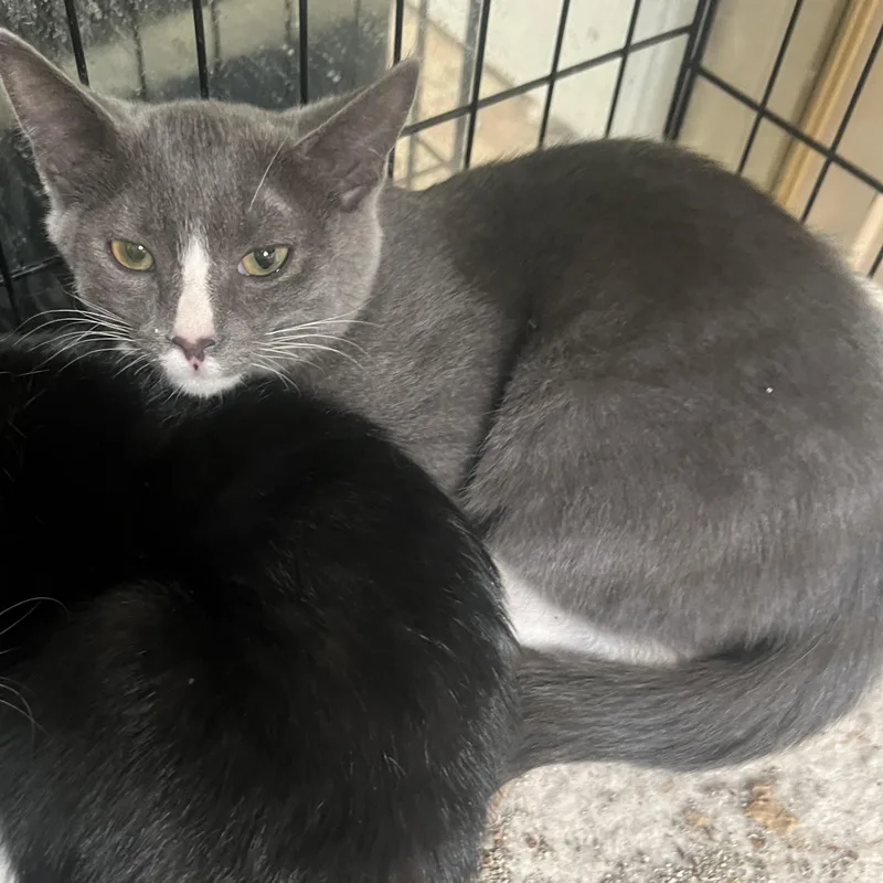 Sweet Boy U thumbnail 5