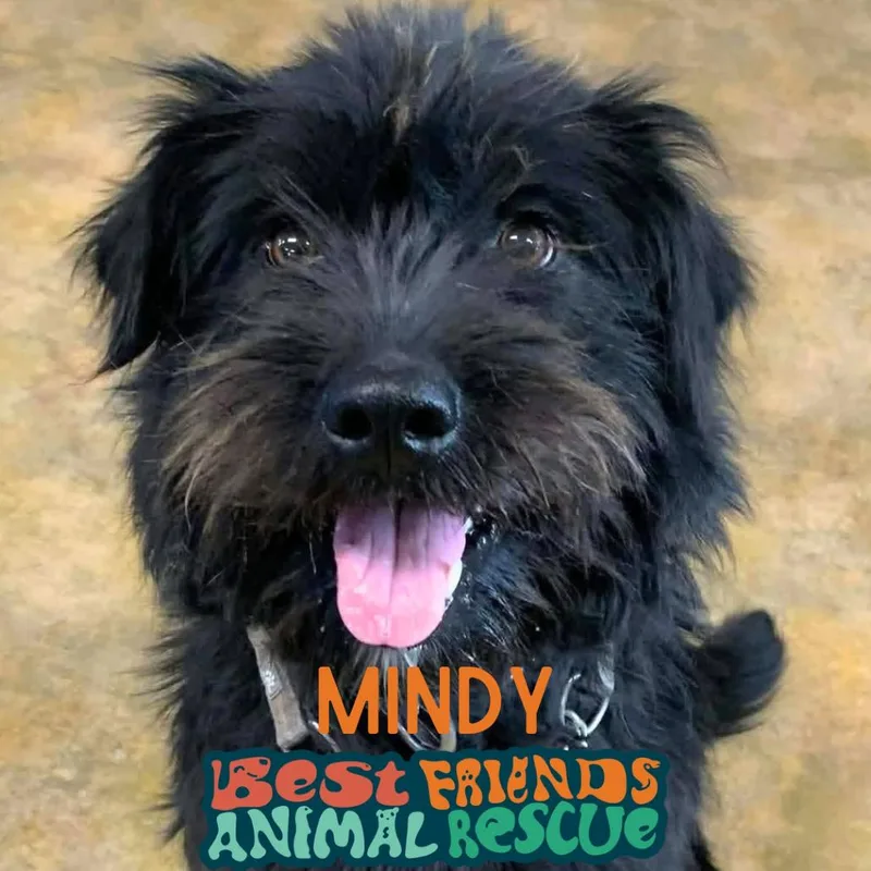 Mindy