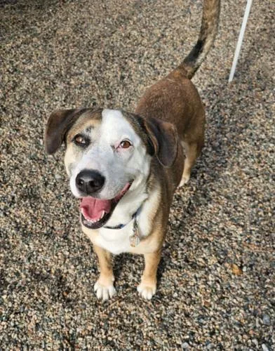 Cabela Nka Belle thumbnail 2