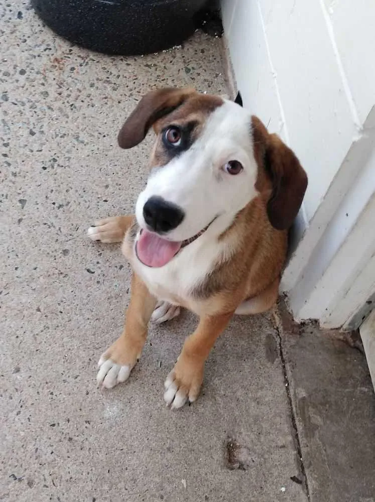 Cabela Nka Belle thumbnail 3