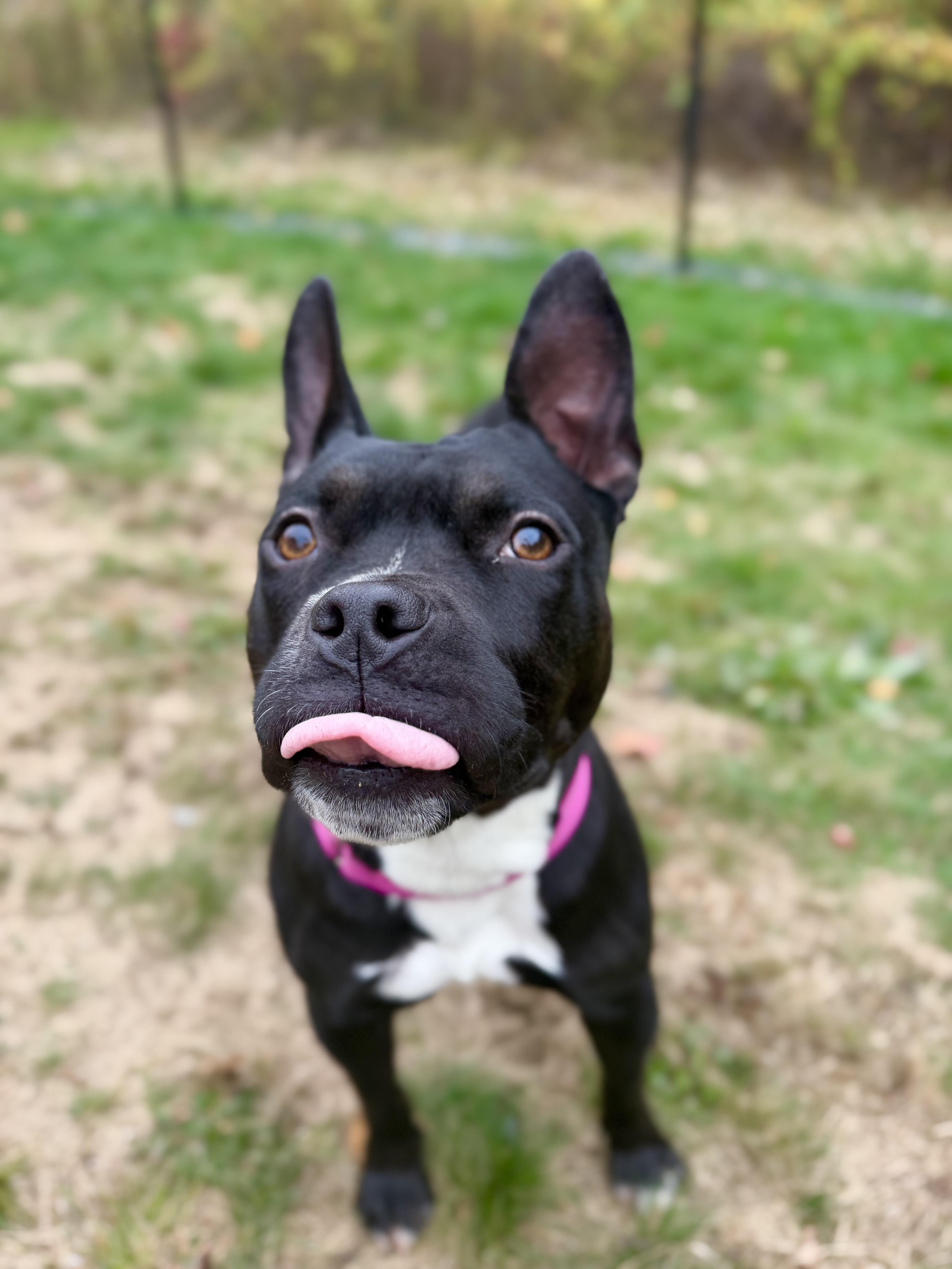 Roxy thumbnail 3