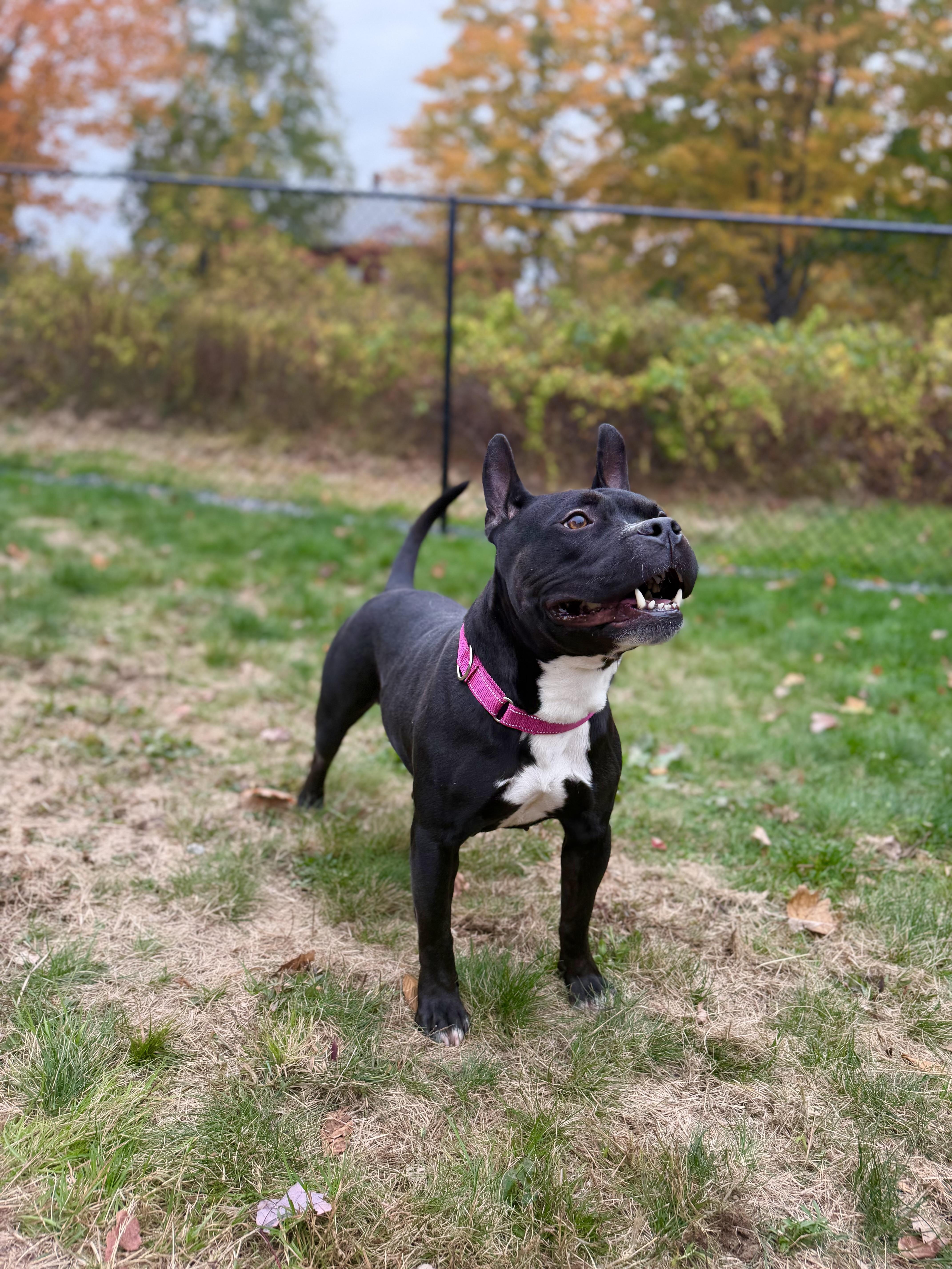 Roxy thumbnail 5