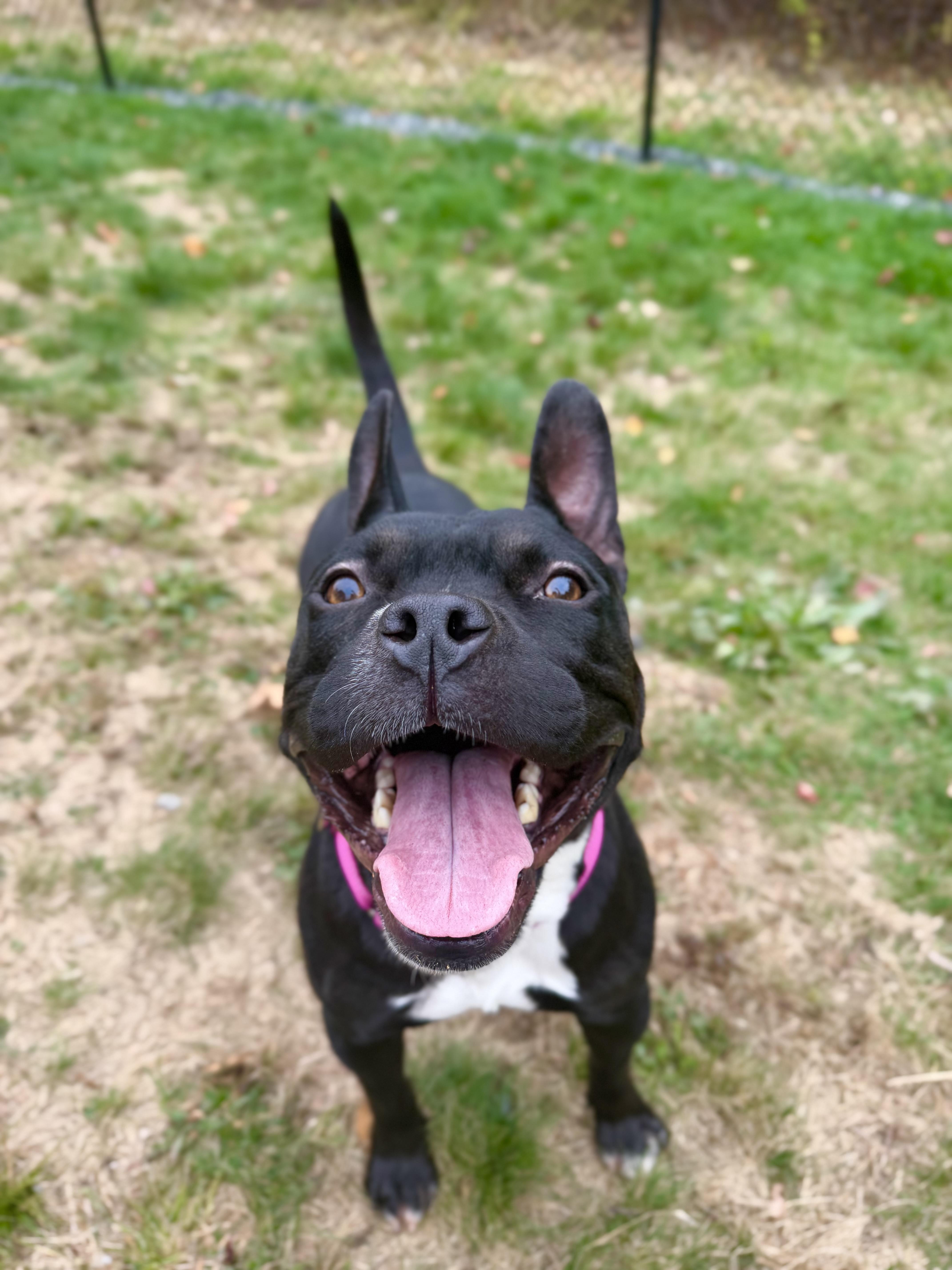 Roxy thumbnail 6