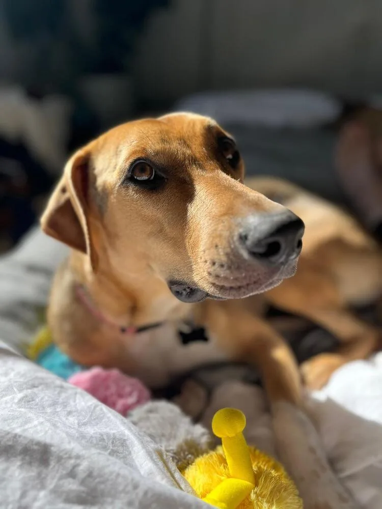 Nairobi  Money Heist thumbnail 2