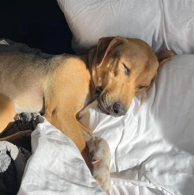 Nairobi  Money Heist thumbnail 3