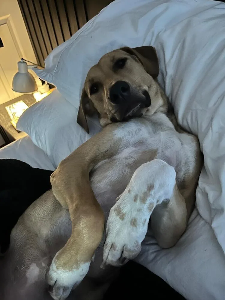 Nairobi  Money Heist thumbnail 4