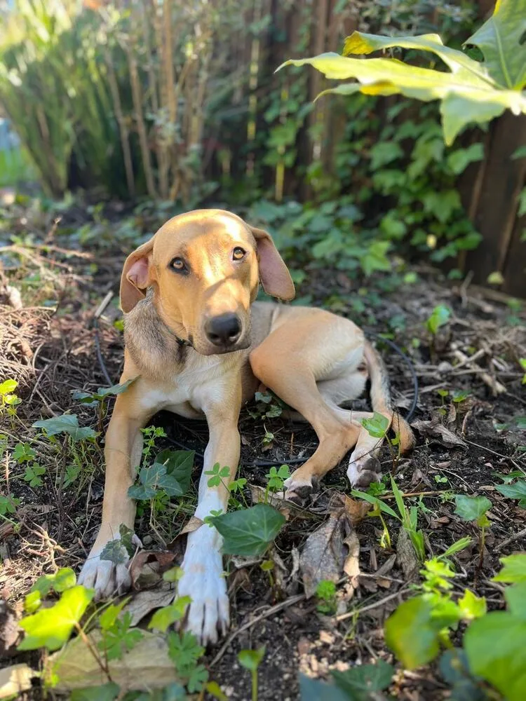 Nairobi  Money Heist thumbnail 5