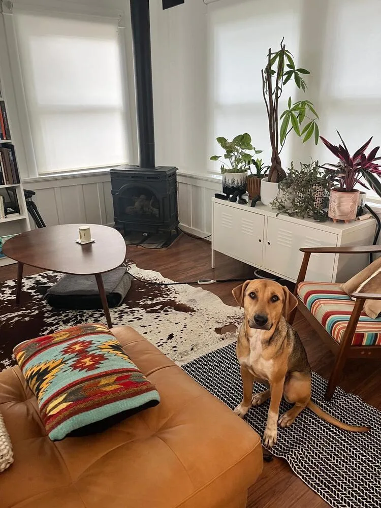 Nairobi  Money Heist thumbnail 6