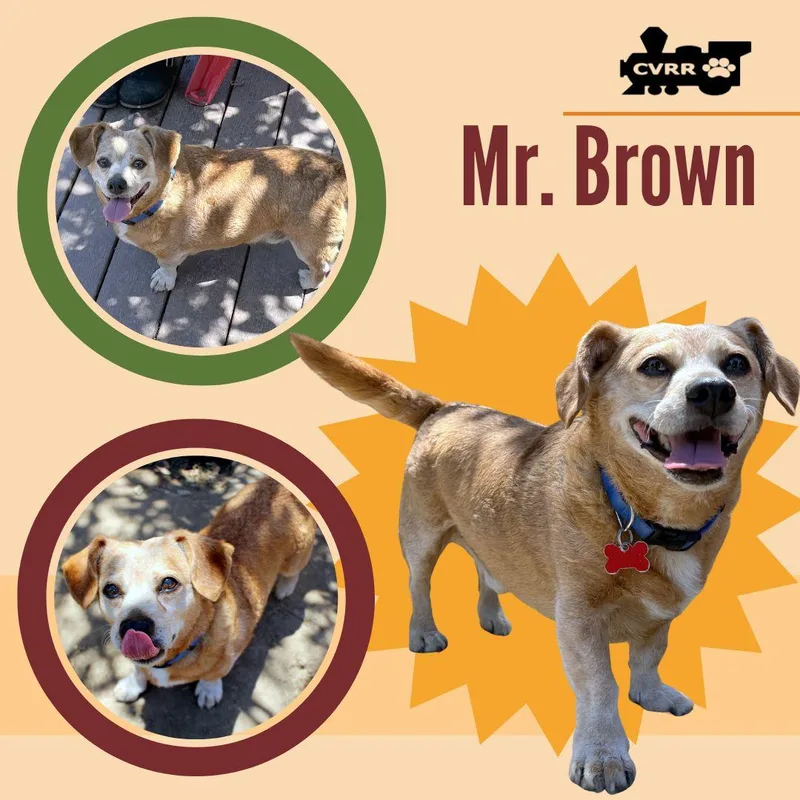 Mr. Brown