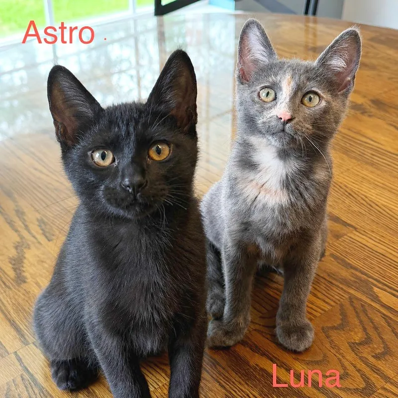 Astro thumbnail 3
