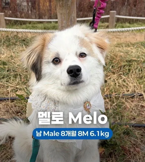 Melo