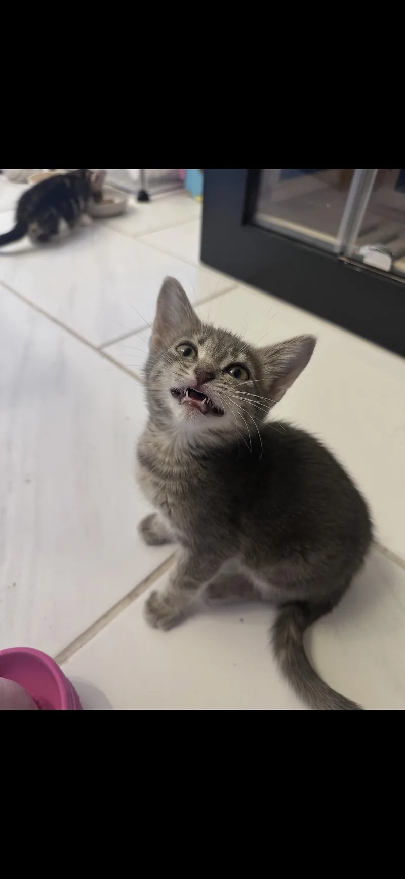 Gigi thumbnail 2