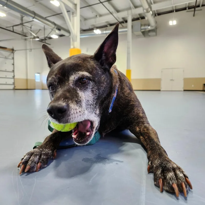 Anna Marie thumbnail 2