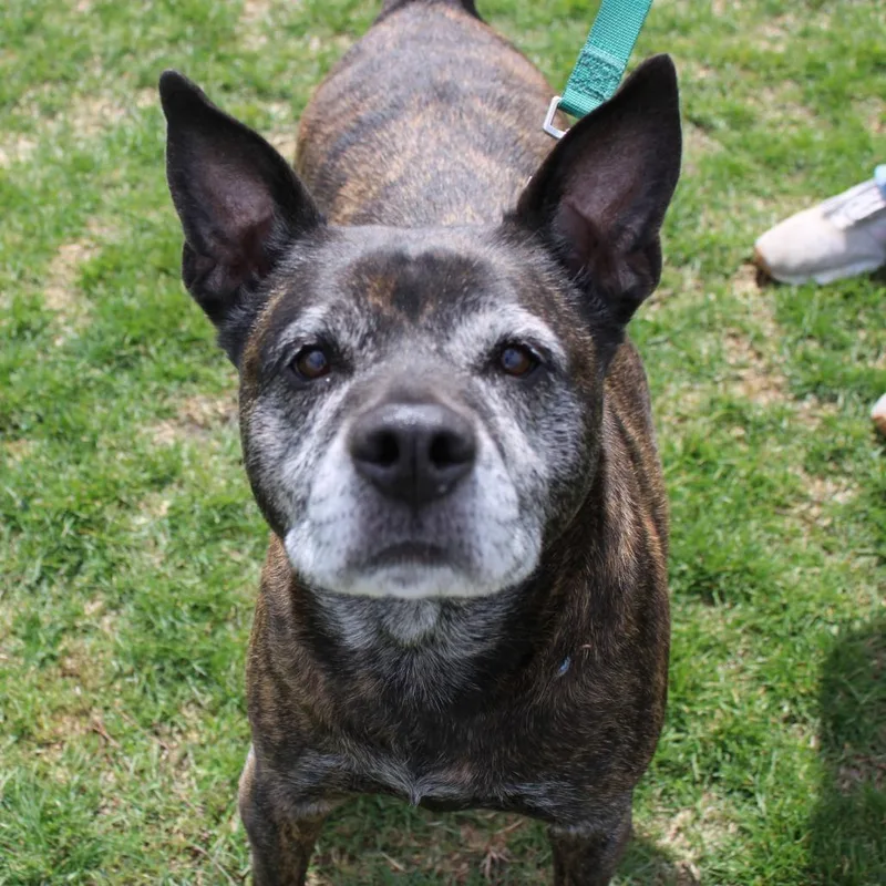 Anna Marie thumbnail 3