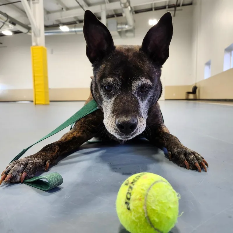 Anna Marie thumbnail 4