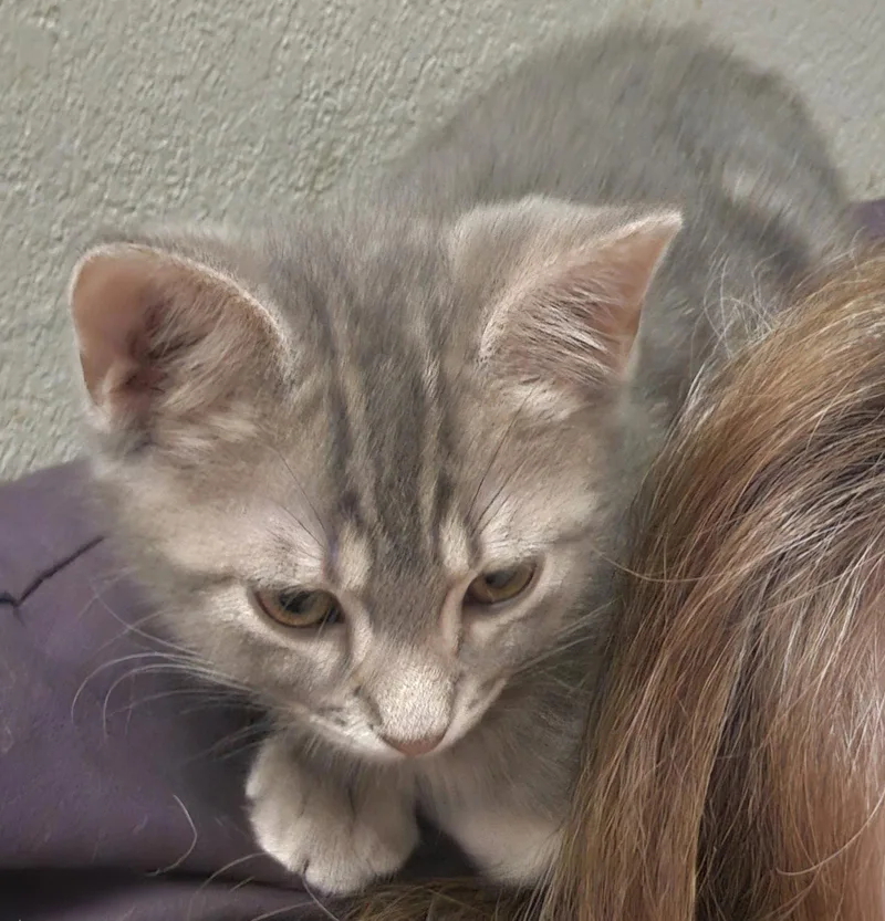 Bruno thumbnail 3