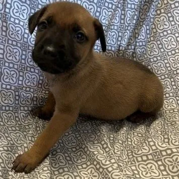 Ny Marvin Avail Apr thumbnail 2