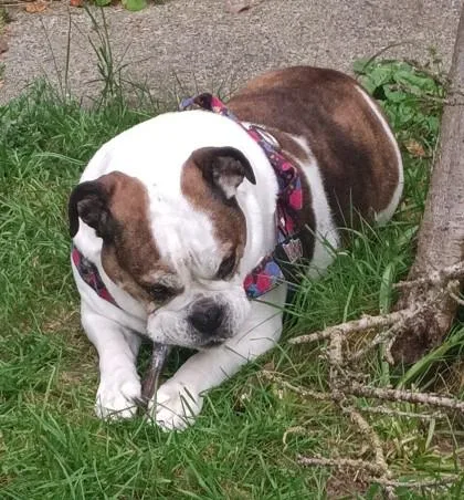 Missy Nubs thumbnail 2