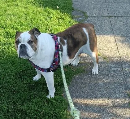Missy Nubs thumbnail 3