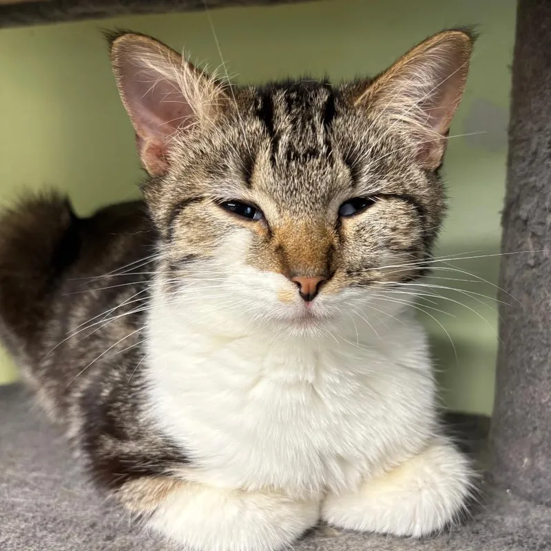 Ida Rose thumbnail 2