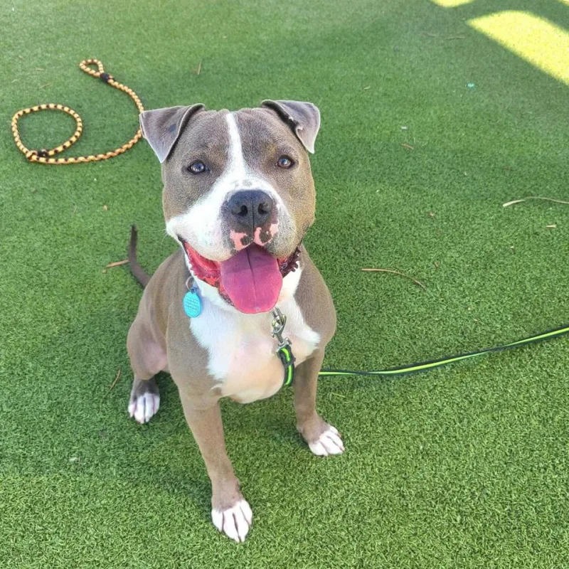 Maryland thumbnail 2