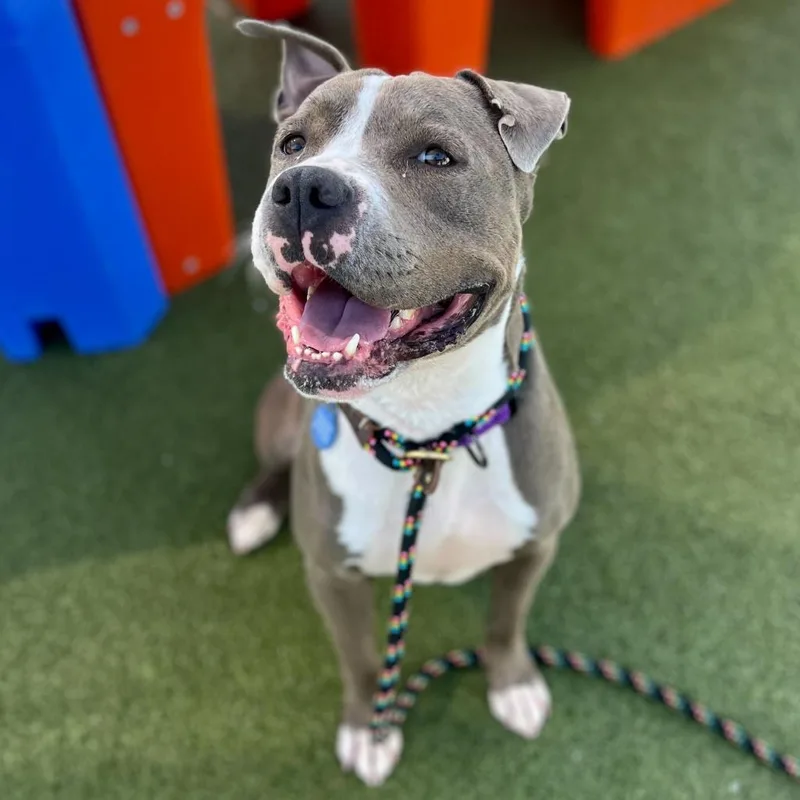 Maryland thumbnail 4