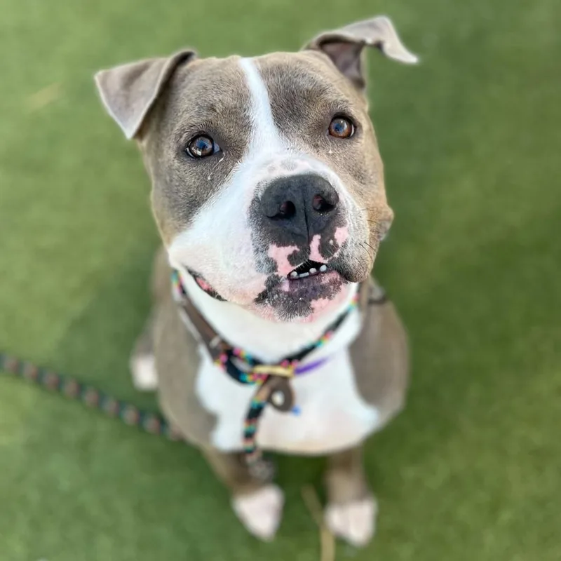 Maryland thumbnail 6