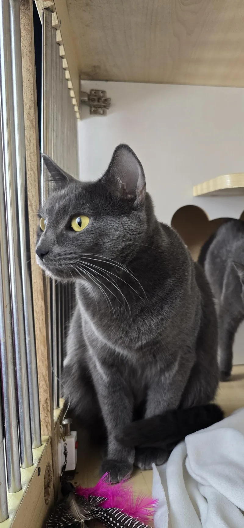 Lady Liberty thumbnail 4