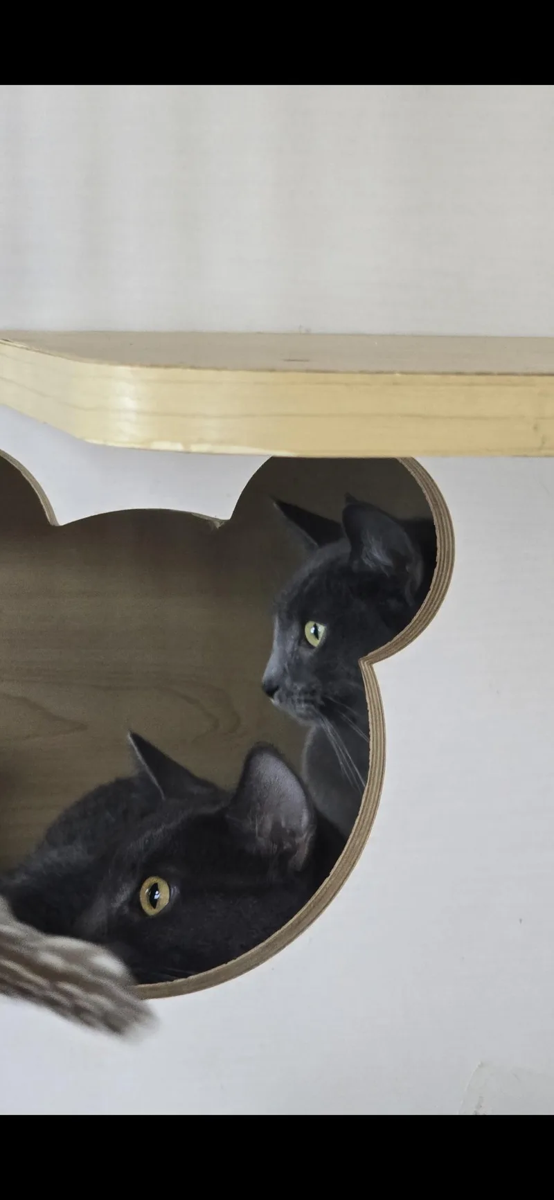 Lady Liberty thumbnail 5