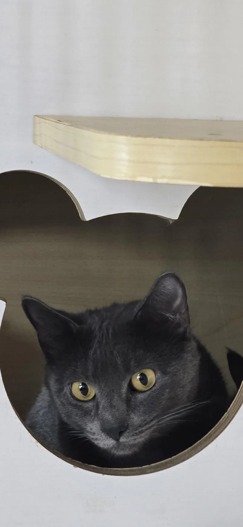 Lady Liberty thumbnail 6