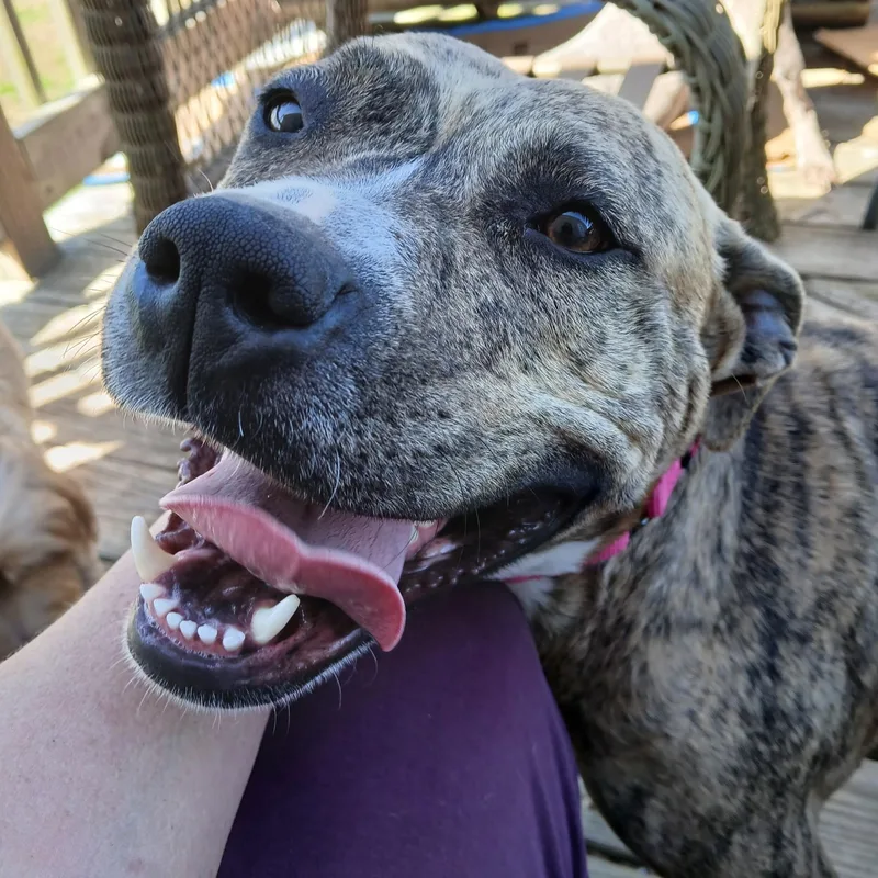 Sadie Momma Sunbeam thumbnail 5