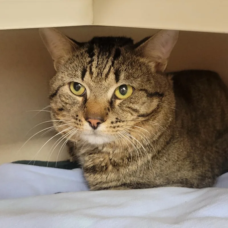 Fuggedit thumbnail 2